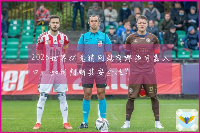 2026世界杯竞猜网站有哪些可靠入口，如何判断其安全性？