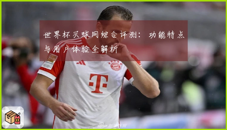 世界杯买球网综合评测：功能特点与用户体验全解析