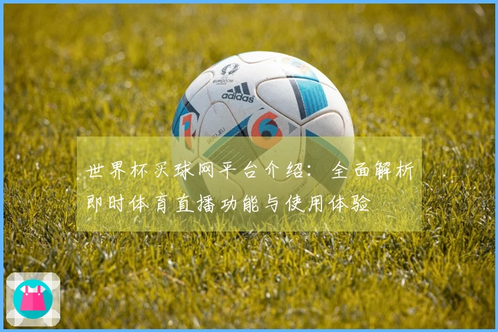 世界杯买球网平台介绍：全面解析即时体育直播功能与使用体验