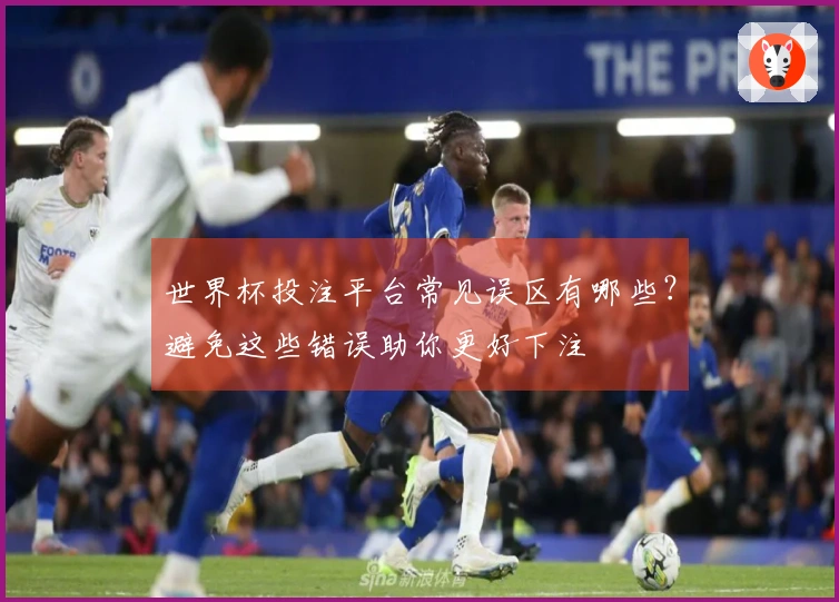 世界杯投注平台常见误区有哪些？避免这些错误助你更好下注