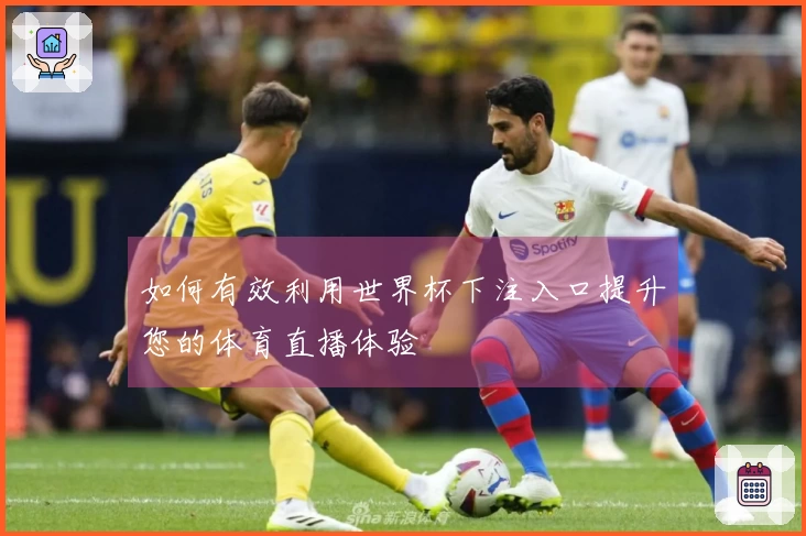 如何有效利用世界杯下注入口提升您的体育直播体验