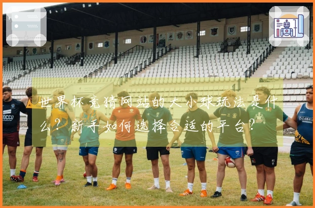 世界杯竞猜网站的大小球玩法是什么？新手如何选择合适的平台？