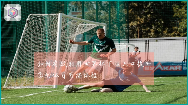 如何有效利用世界杯下注入口提升您的体育直播体验
