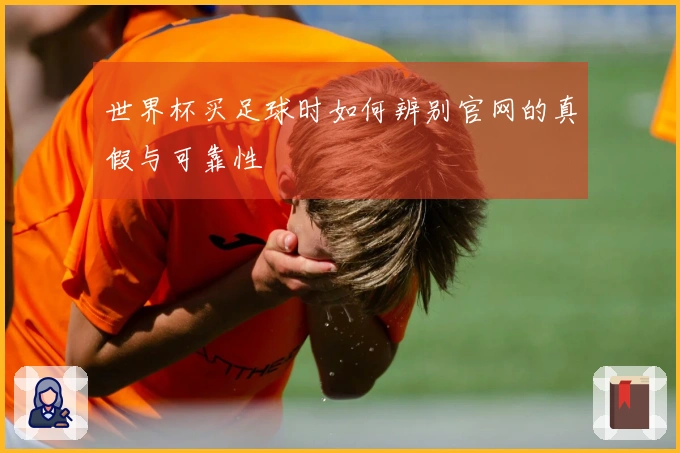 世界杯买足球时如何辨别官网的真假与可靠性