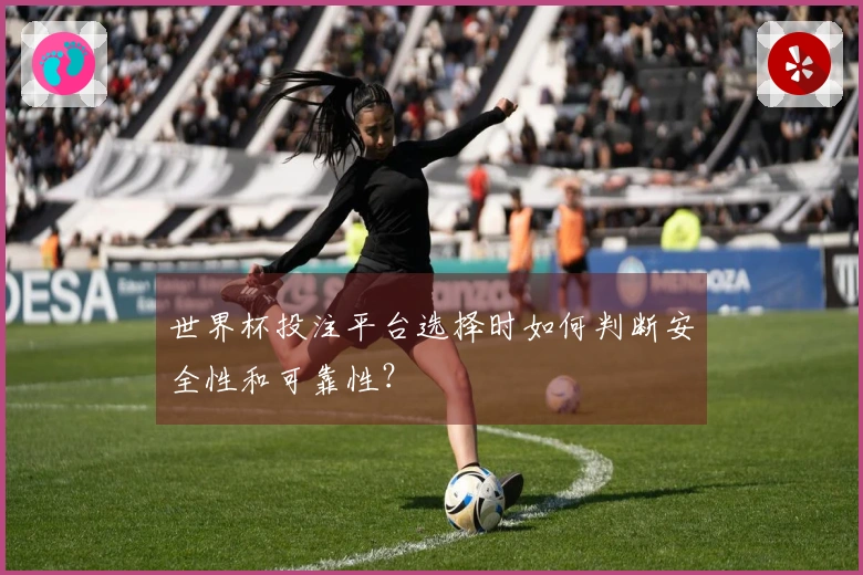 世界杯投注平台选择时如何判断安全性和可靠性？