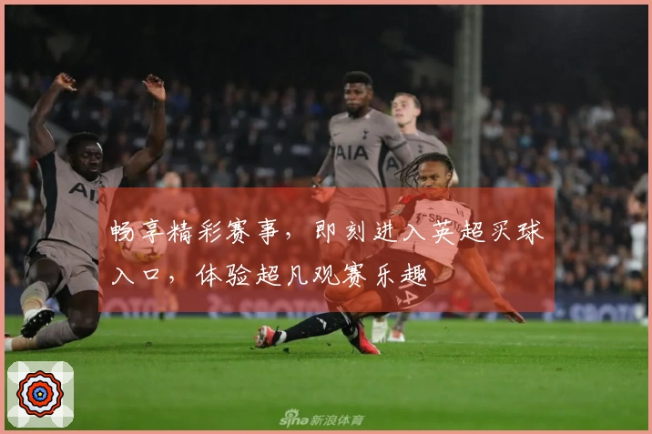畅享精彩赛事，即刻进入英超买球入口，体验超凡观赛乐趣