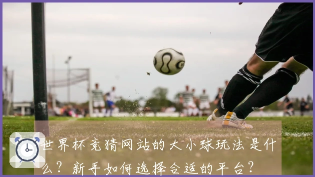 世界杯竞猜网站的大小球玩法是什么？新手如何选择合适的平台？
