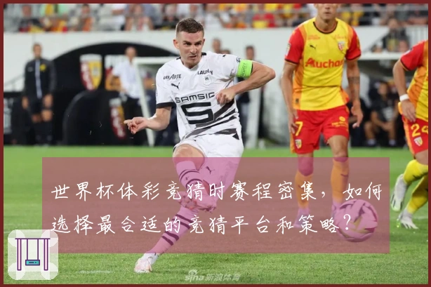 世界杯体彩竞猜时赛程密集，如何选择最合适的竞猜平台和策略？