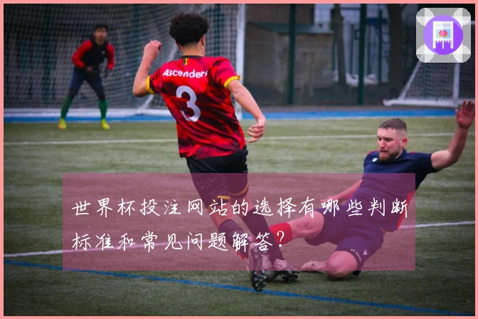 世界杯投注网站的选择有哪些判断标准和常见问题解答？