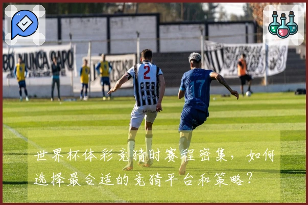 世界杯体彩竞猜时赛程密集，如何选择最合适的竞猜平台和策略？
