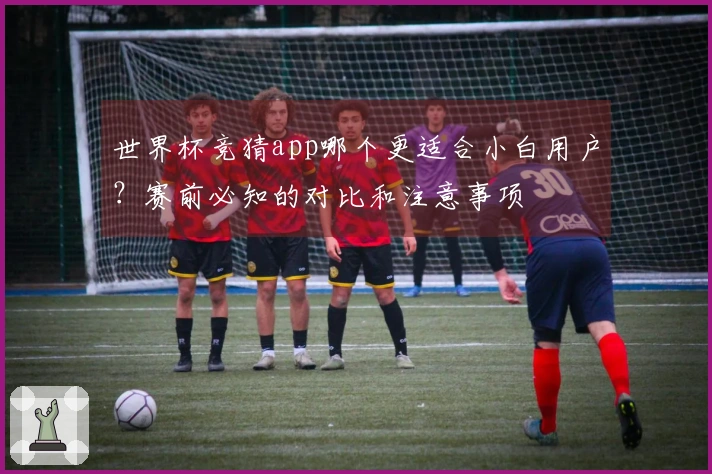 世界杯竞猜app哪个更适合小白用户？赛前必知的对比和注意事项