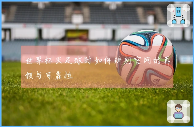 世界杯买足球时如何辨别官网的真假与可靠性
