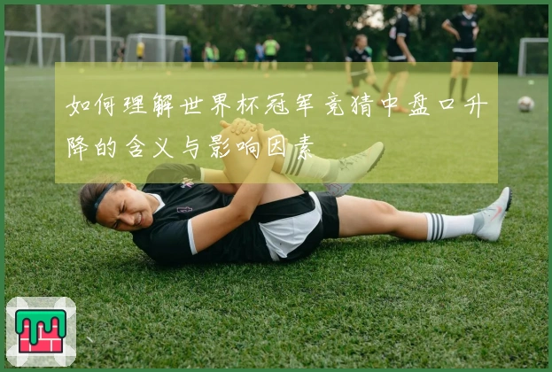 如何理解世界杯冠军竞猜中盘口升降的含义与影响因素