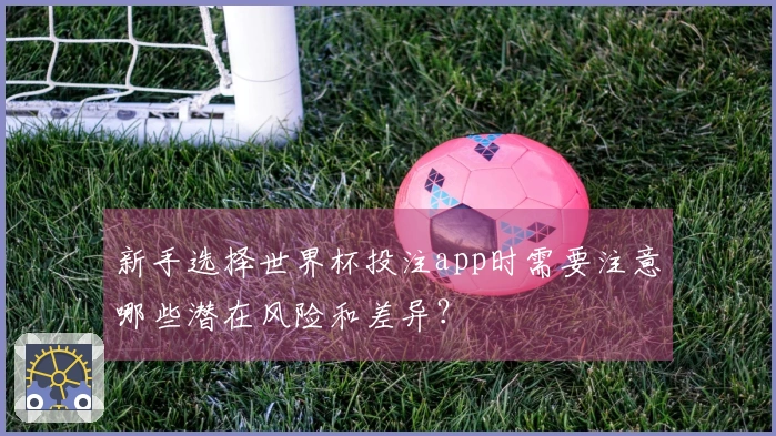 新手选择世界杯投注app时需要注意哪些潜在风险和差异？