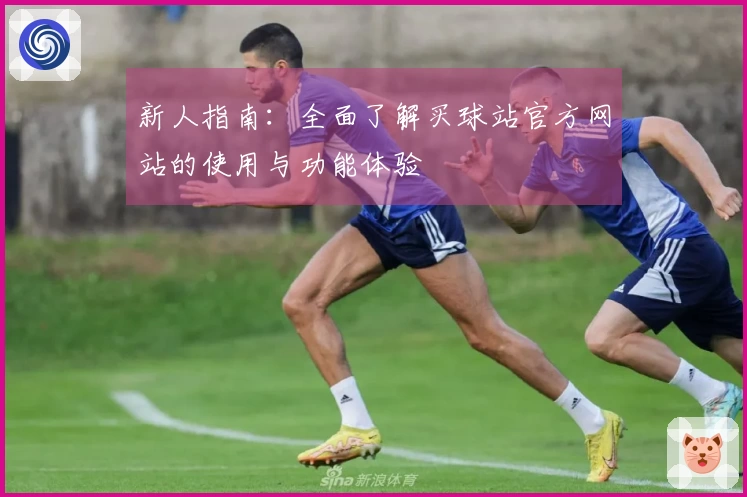 新人指南：全面了解买球站官方网站的使用与功能体验