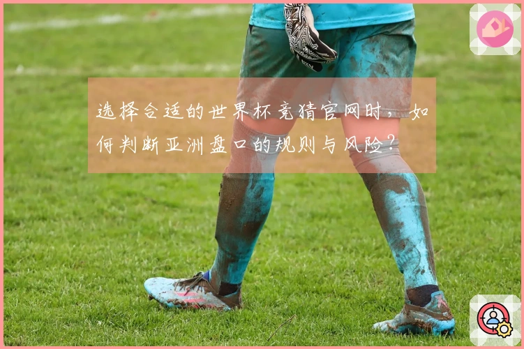 选择合适的世界杯竞猜官网时，如何判断亚洲盘口的规则与风险？