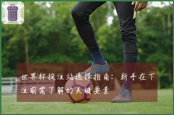 世界杯投注站选择指南：新手在下注前需了解的关键要素